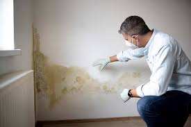 Best Mold Remediation for Healthcare Facilities  in Crockett, CA